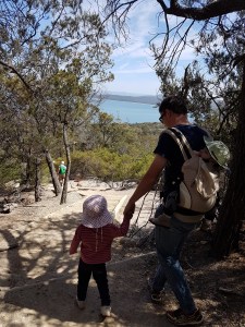 Manduca baby carrier